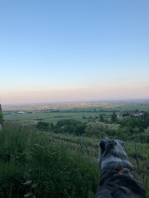 🌄