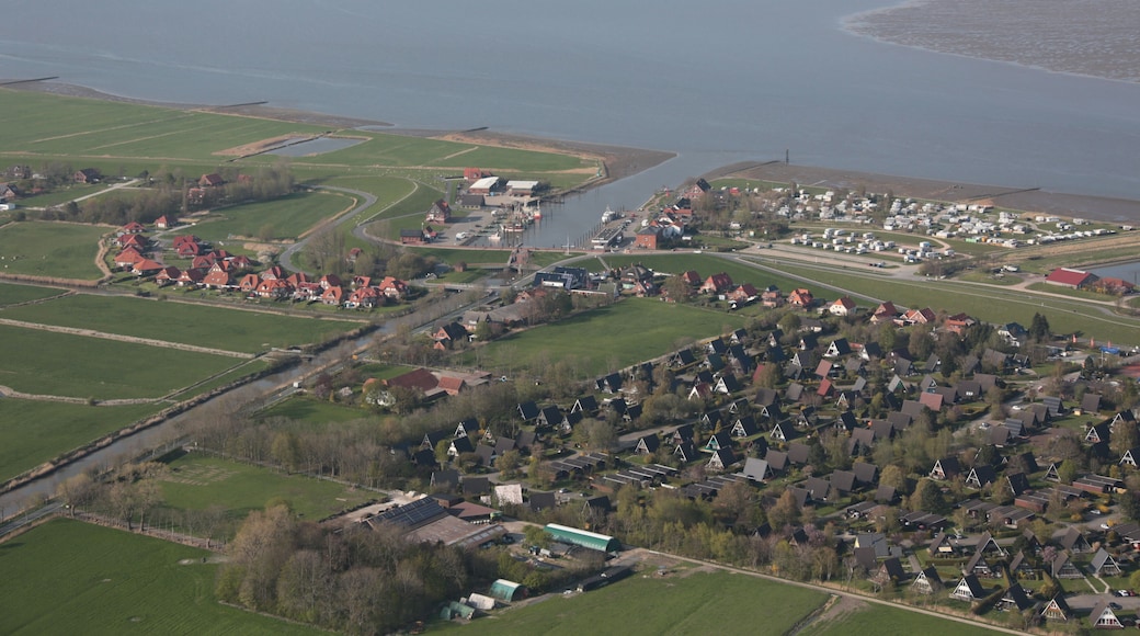 Fotoflug von Nordholz-Spieka nach Oldenburg und Papenburg This photo was taken by Alchemist-hp. If you use one of my photos, an email (account needed) or a message or direct to: my email account would be greatly appreciated. Please note the license terms. Other licensing terms can get discussed, too. This file is copyrighted and has been released under a license which is incompatible with Facebook's licensing terms. It is not permitted to upload this file to Facebook.