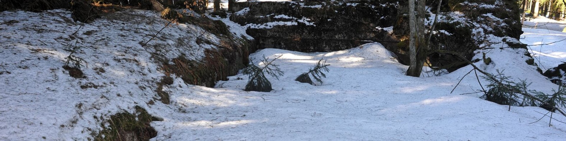 Blasted remains of Hitler's headquarter Tannenberg north of the Alexanderschanze; Baden-WĂŒrttemberg, Germany.
