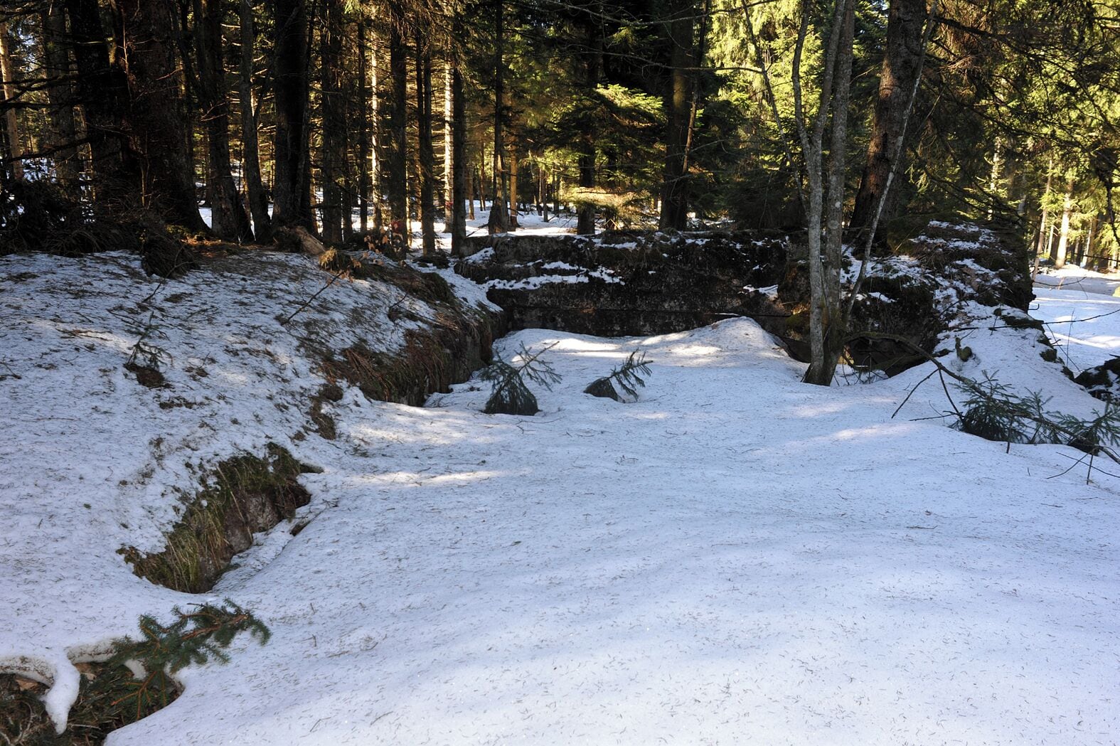 A snow-covered forest path with large rocks and tall trees.