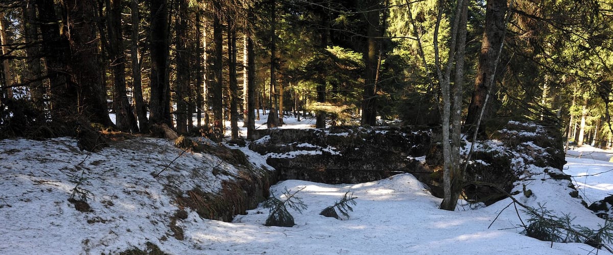 A snow-covered forest path with large rocks and tall trees.