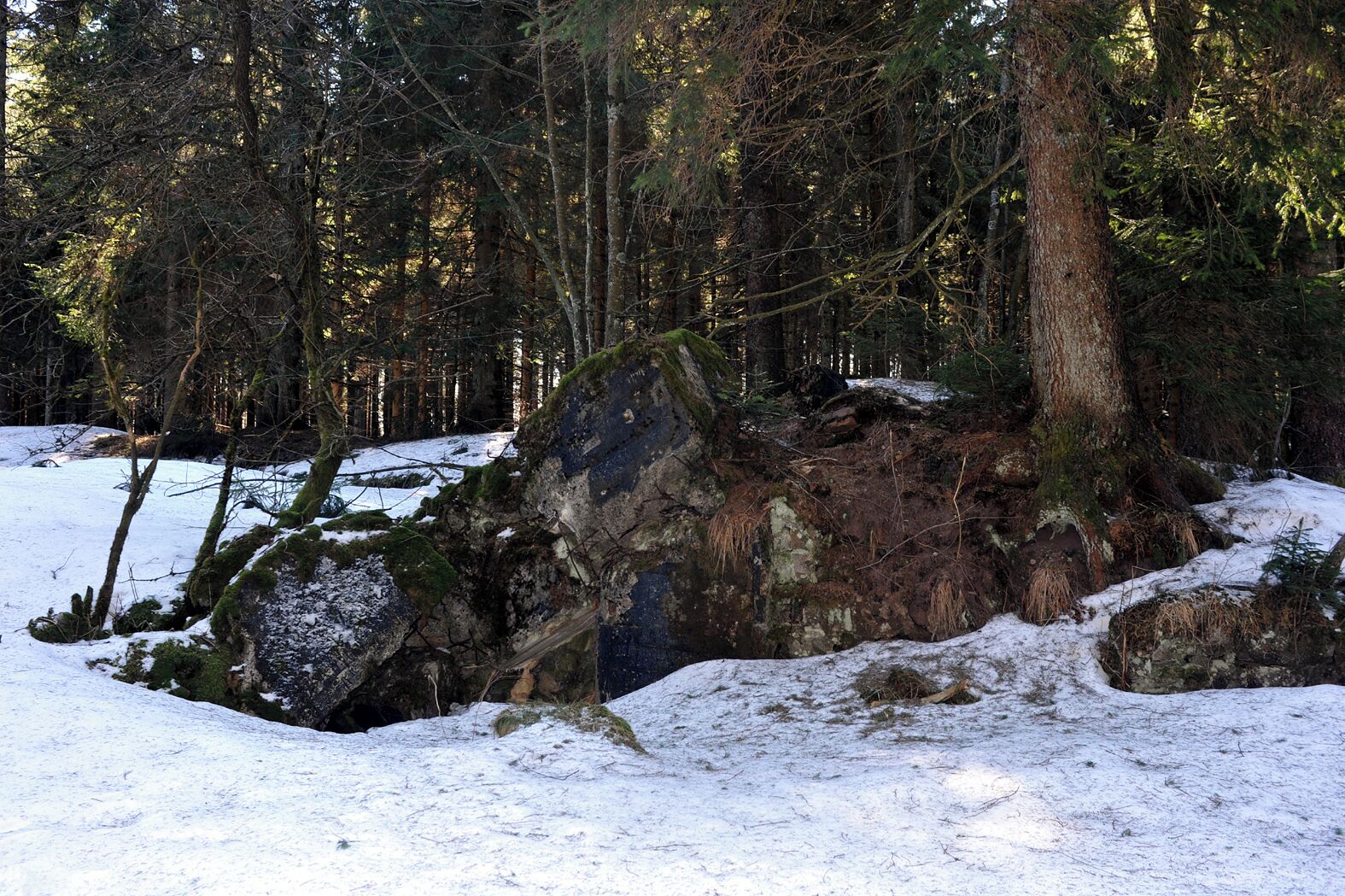Blasted remains of Hitler's headquarter Tannenberg north of the Alexanderschanze; Baden-Württemberg, Germany.