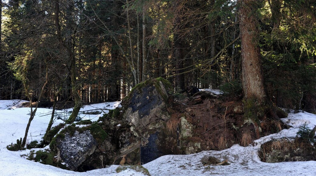 Blasted remains of Hitler's headquarter Tannenberg north of the Alexanderschanze; Baden-Württemberg, Germany.