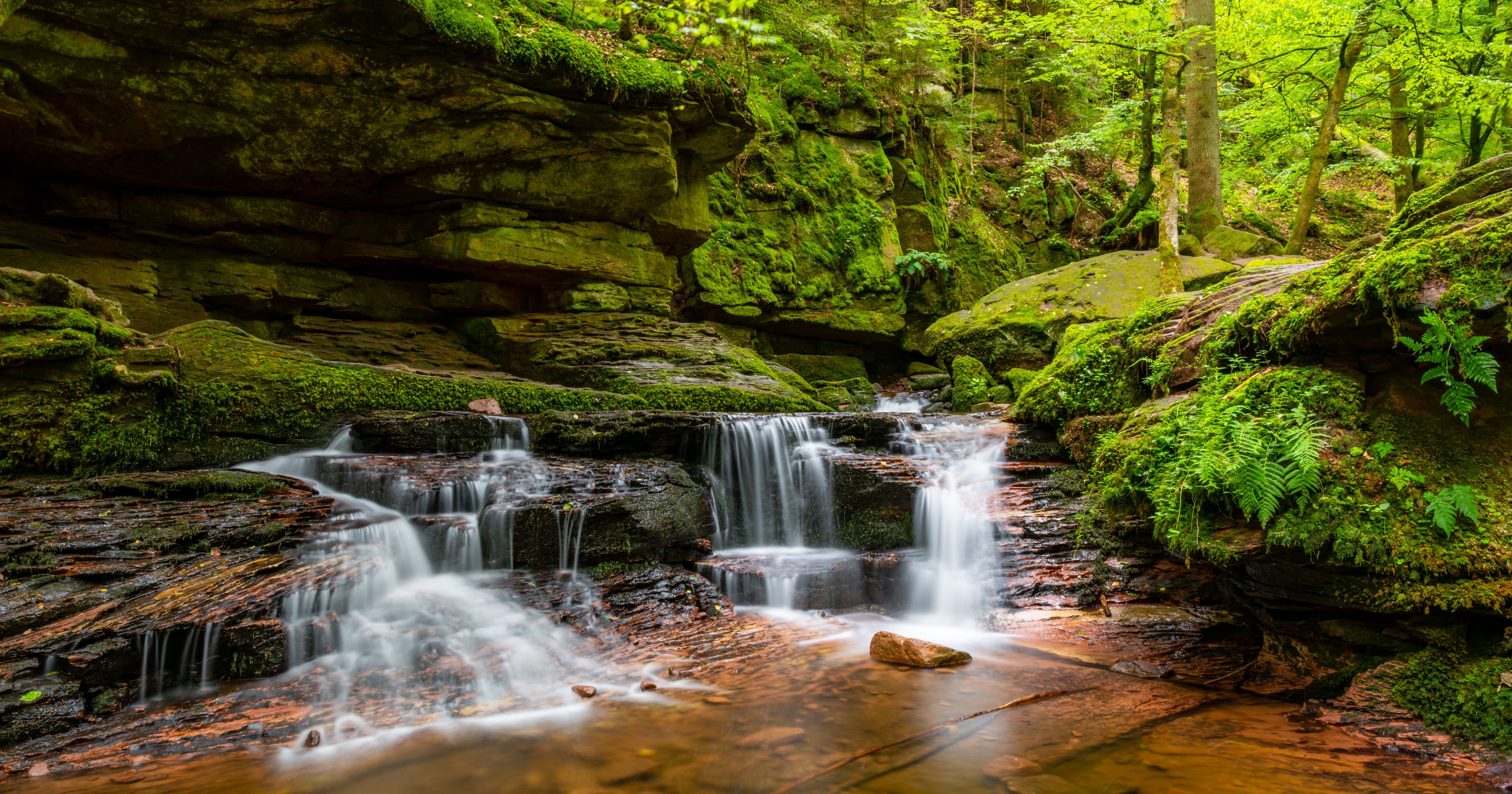 Une cascade située dans une zone boisée, avec des rochers couverts de mousse et une végétation luxuriante.