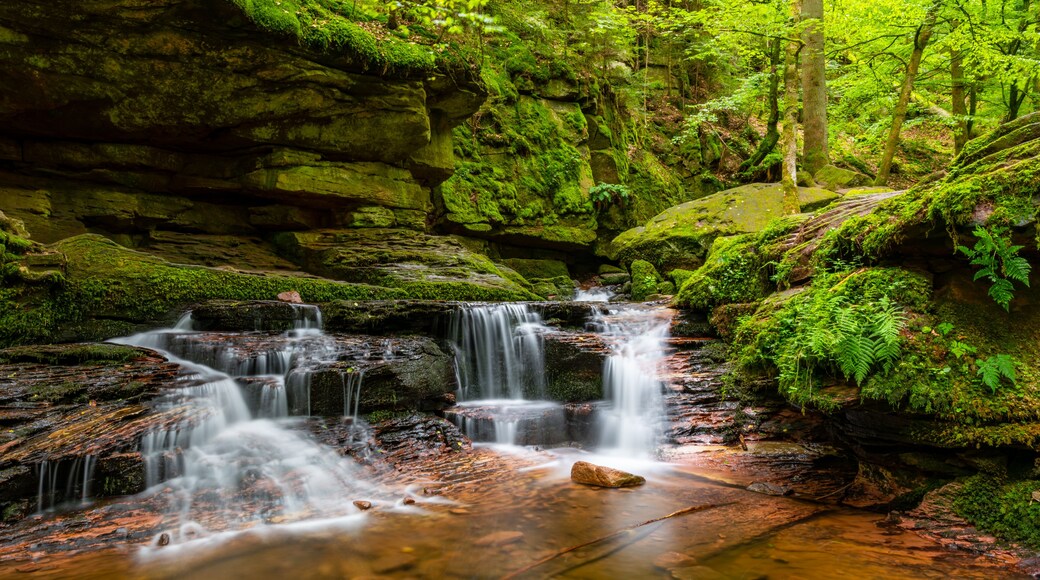 Une cascade située dans une zone boisée, avec des rochers couverts de mousse et une végétation luxuriante.
