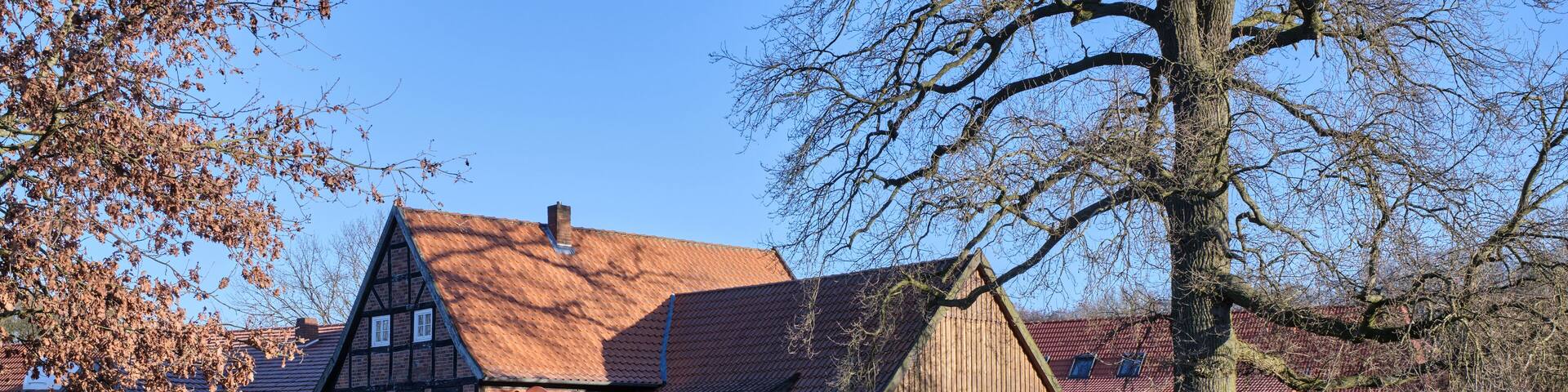 Bruchmühle in Bruchhausen-Vilsen, with half-timbered house, mill pond and trees