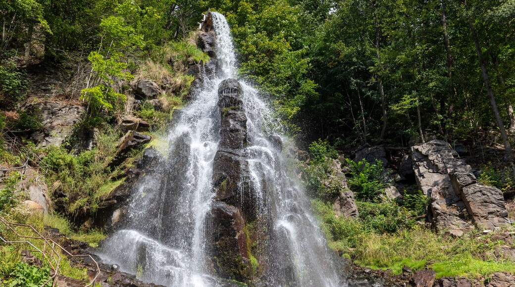 Trusetaler waterfall near Brotterode-Trusetal in Thuringia