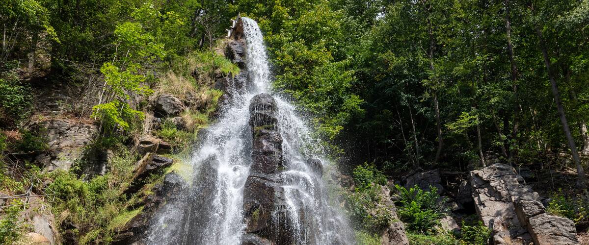A waterfall cascading down a rocky cliff surrounded by lush greenery.