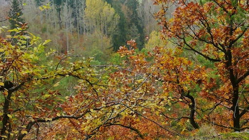 Blick südöstlich von Bringhaussen in Richtung Südosten zum Dicken Kopf