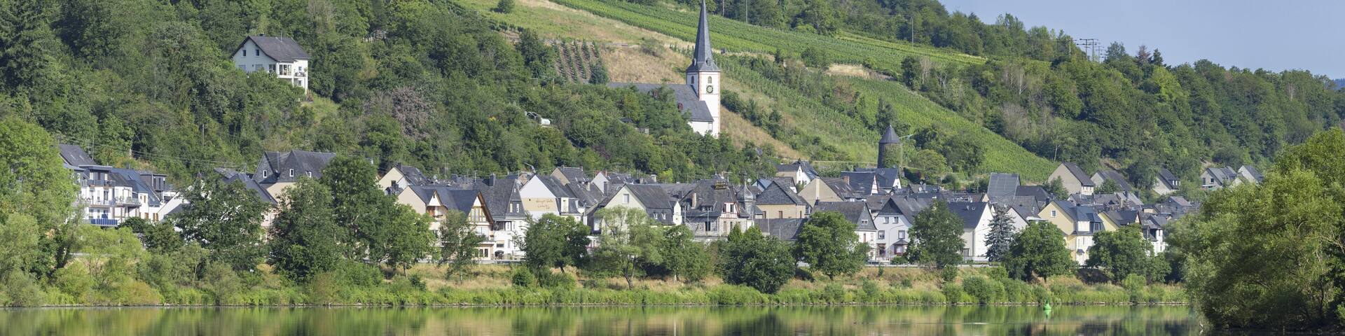 The wine village of Briedel on the Moselle, Cochem-Zell district, Rhineland-Palatinate, Germany