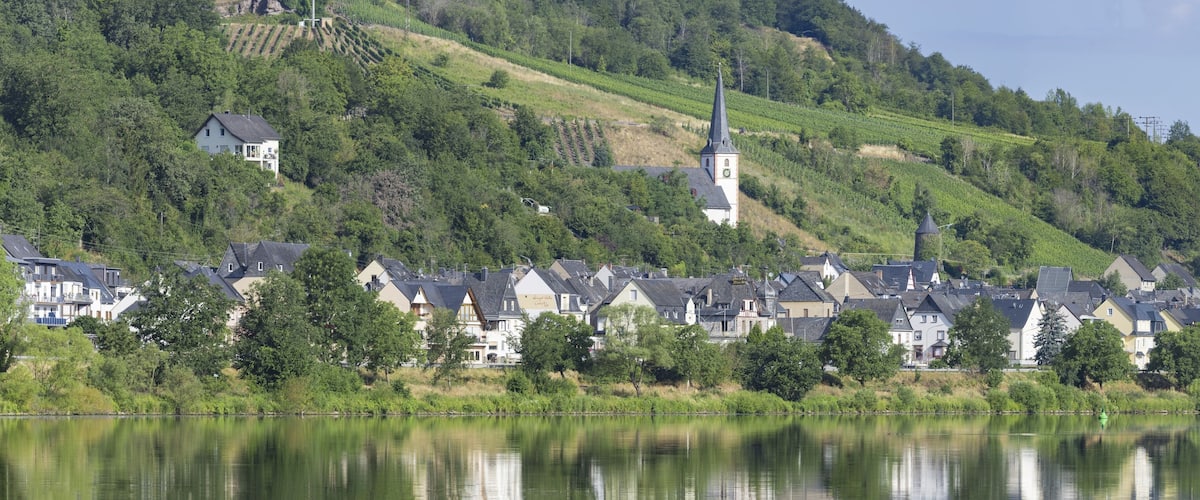 A lakeside village with houses, a church, and vineyards on the hillside.