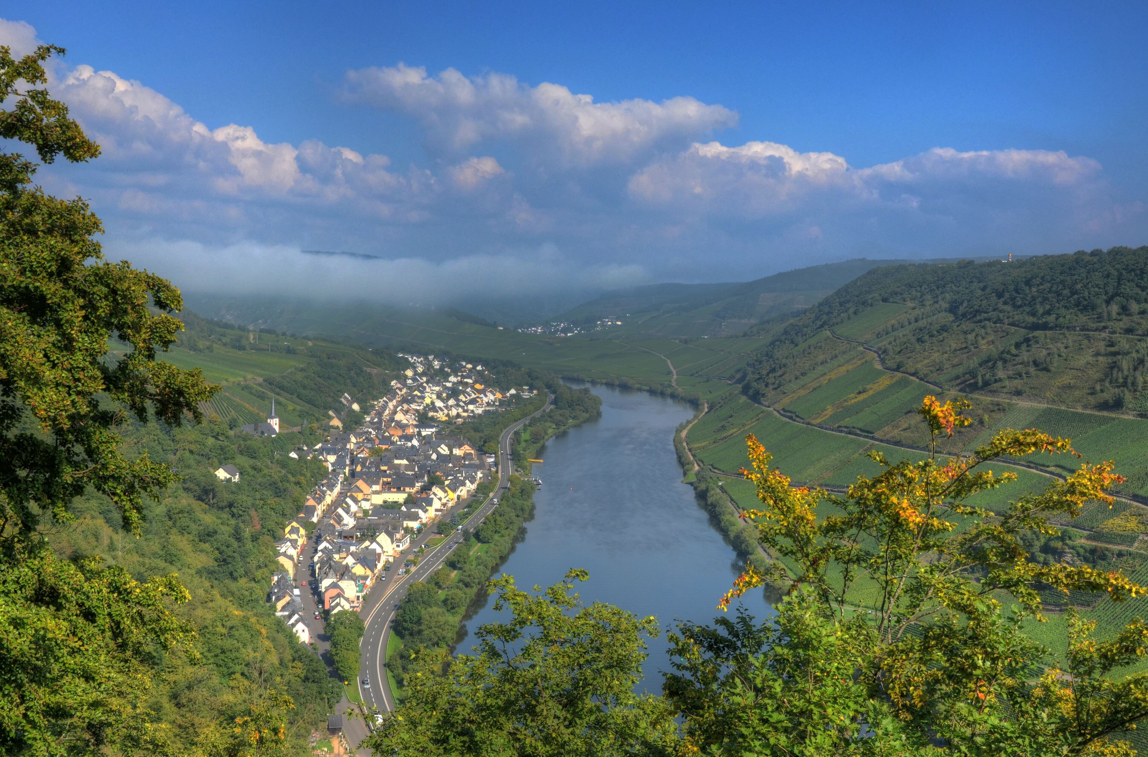 Briedel an der Mosel