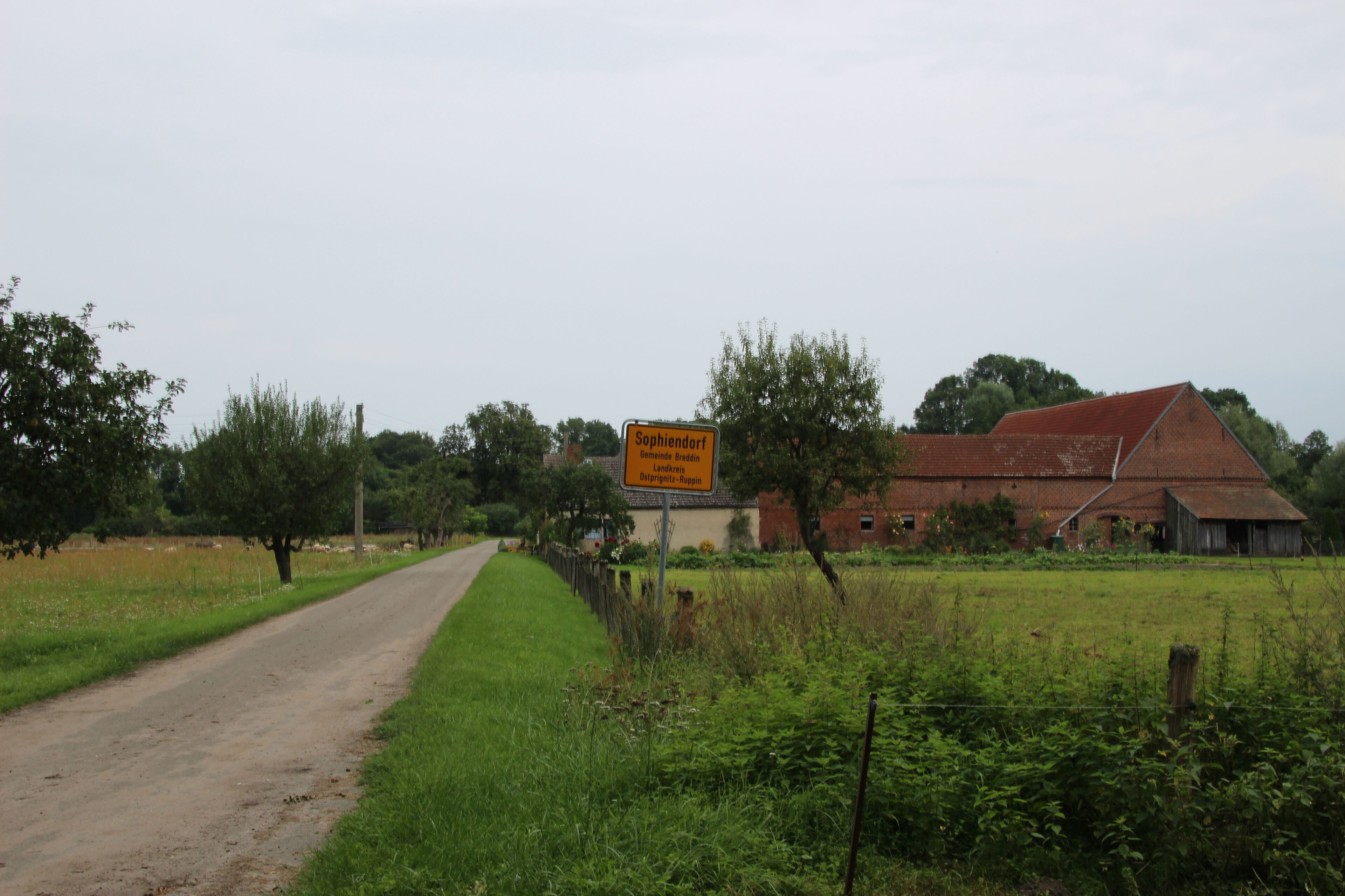 A rural road with a sign indicating 'Sophiendorf' and 'Bergheim'.