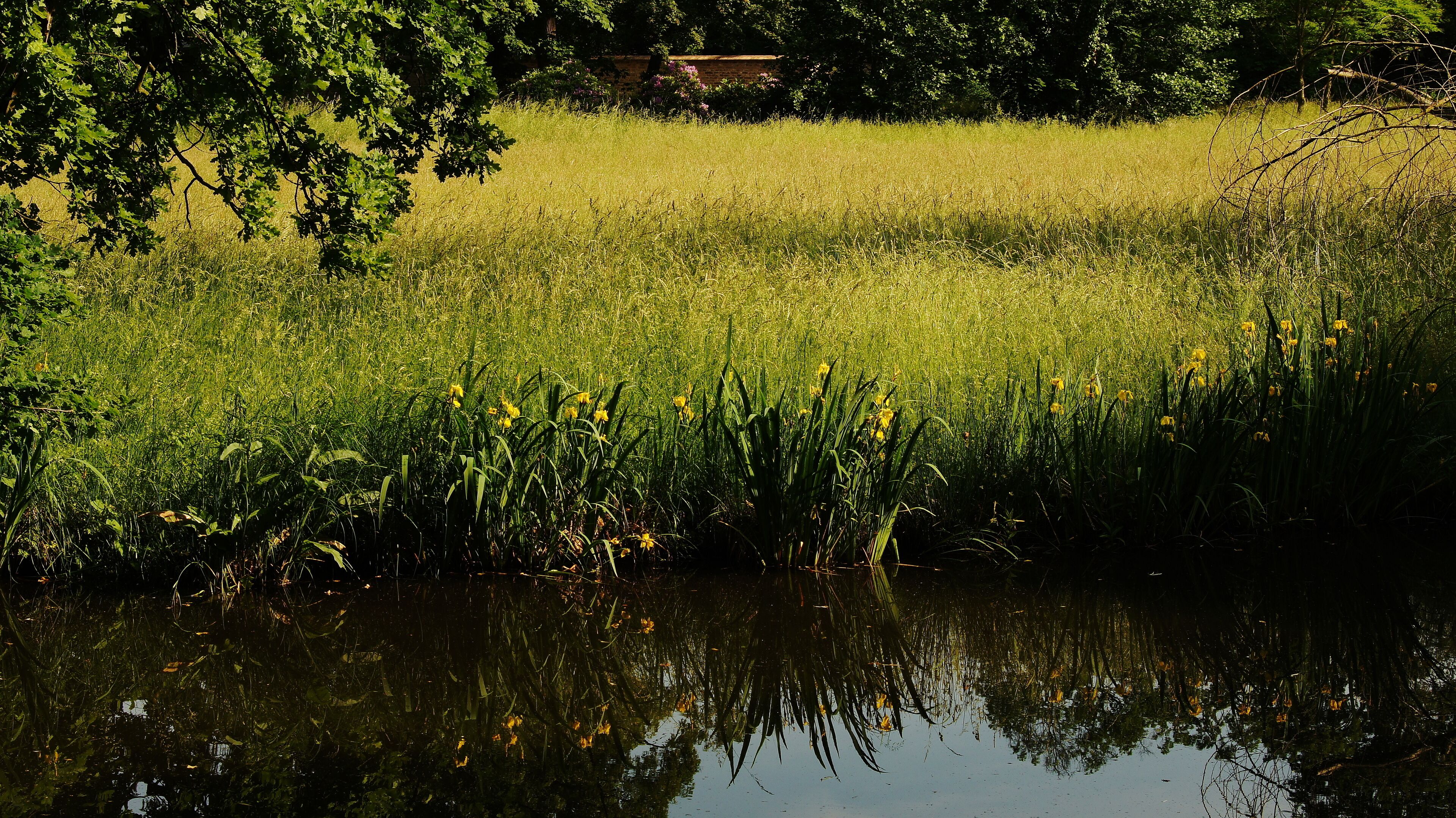 Park Sanssouci - Potsdam