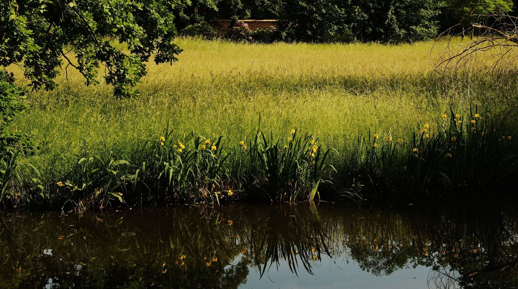 Park Sanssouci - Potsdam