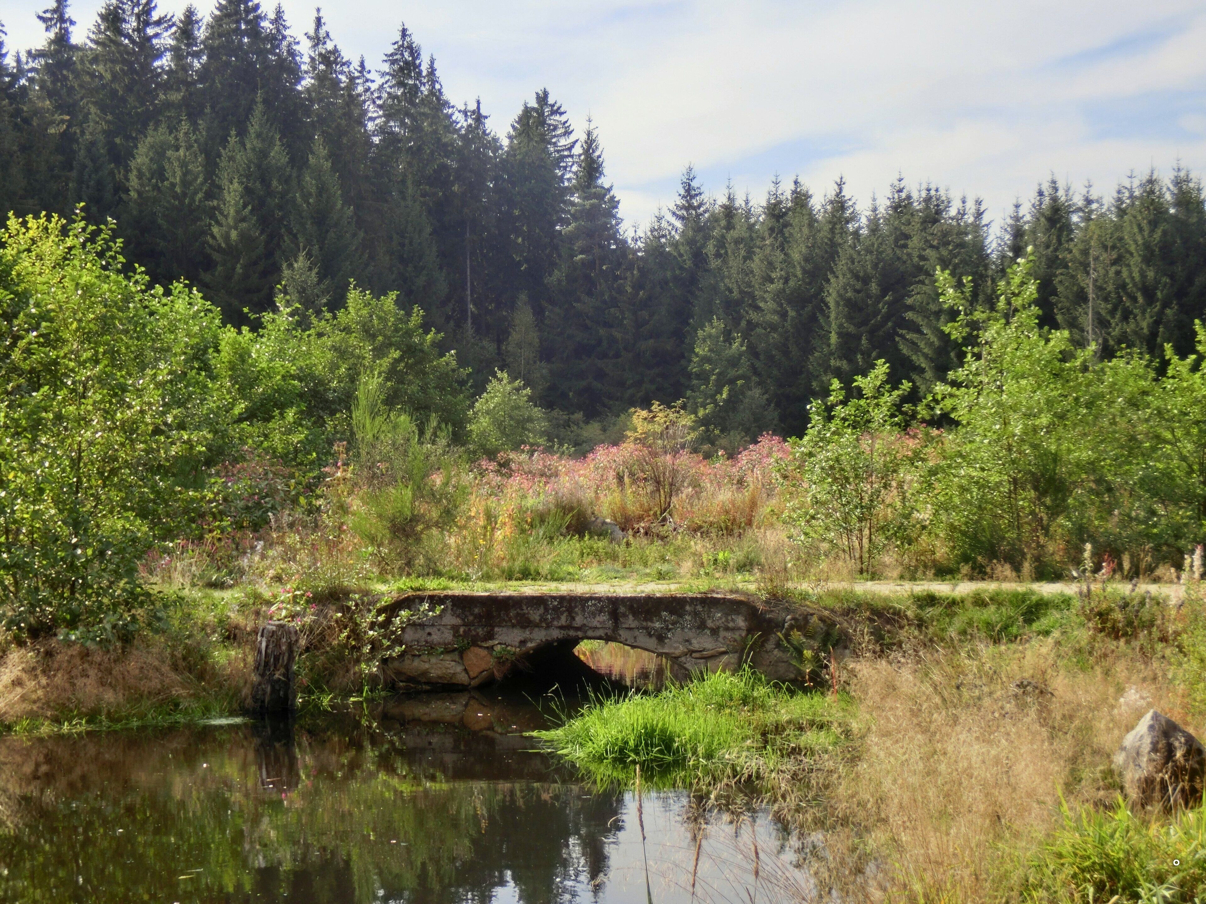 Nageler Steinbruch 1