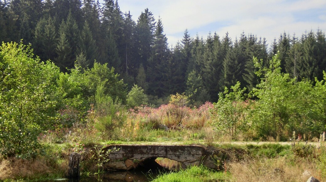 Nageler Steinbruch 1