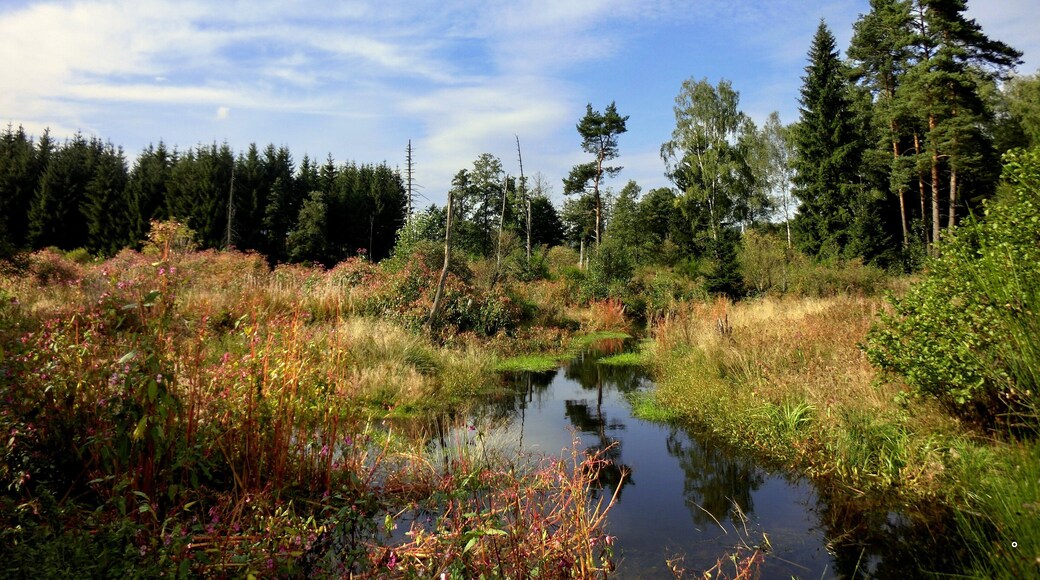 Nageler Steinbruch 3