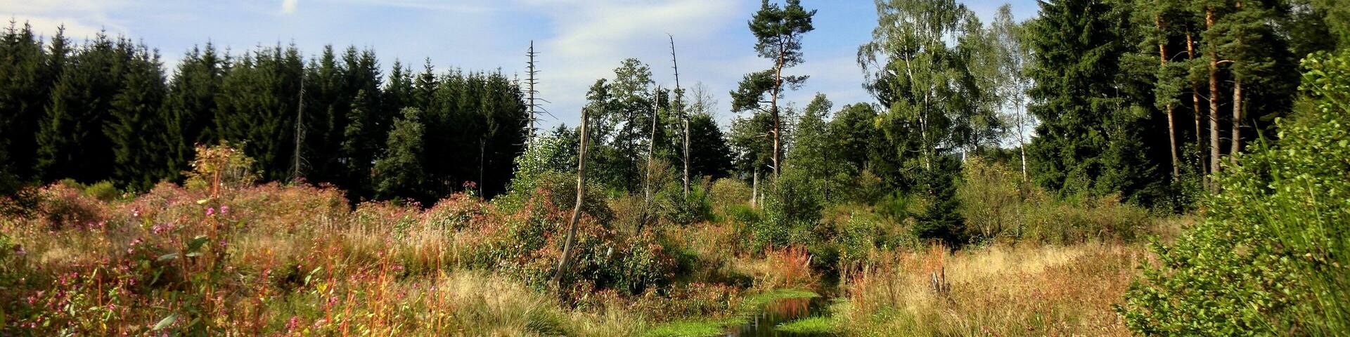 Nageler Steinbruch 3