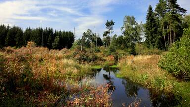 Nageler Steinbruch 3