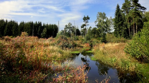 Nageler Steinbruch 3