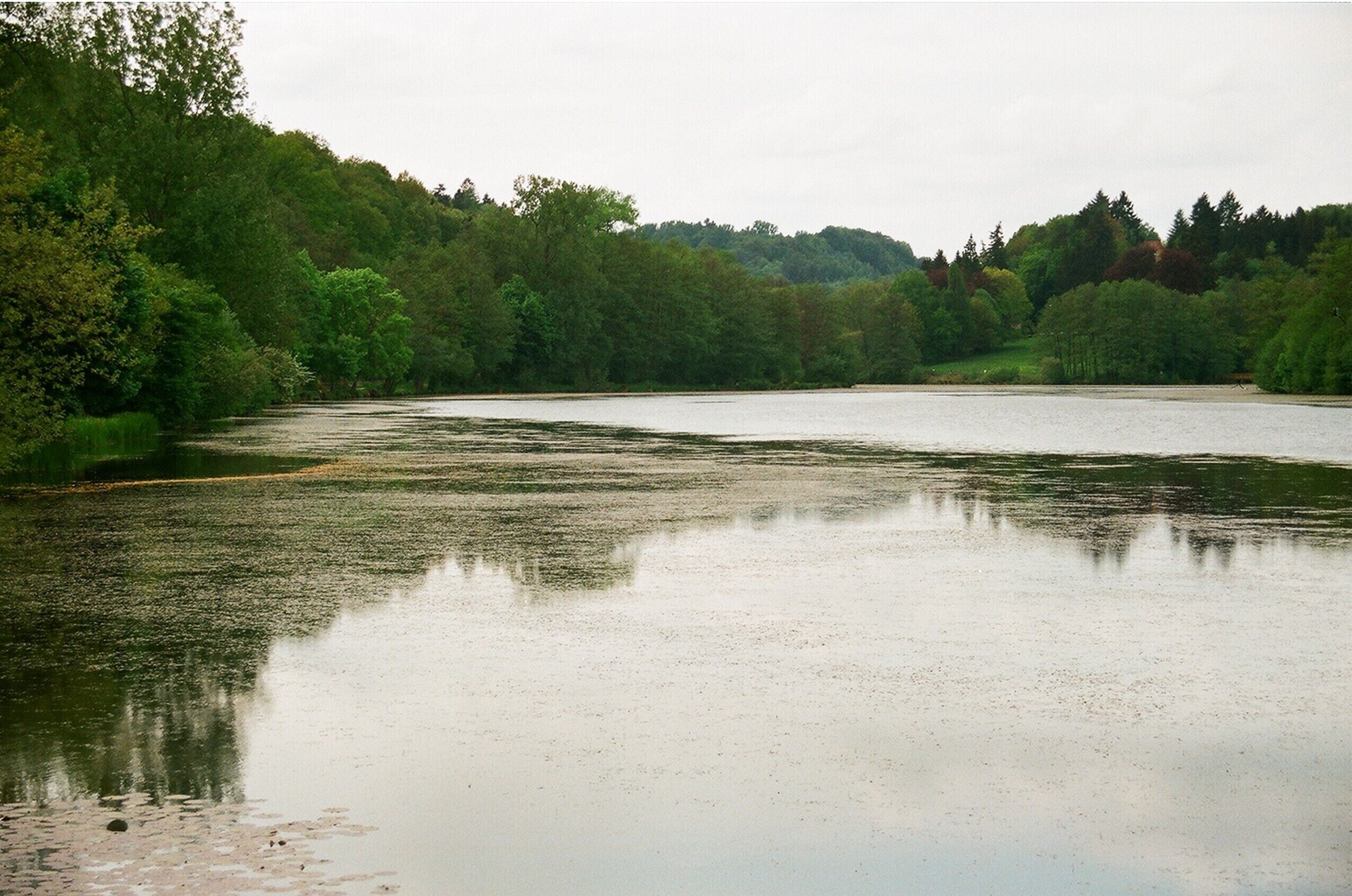 Niederwürzbach (Blieskastel), the Lake Niederwürzbach