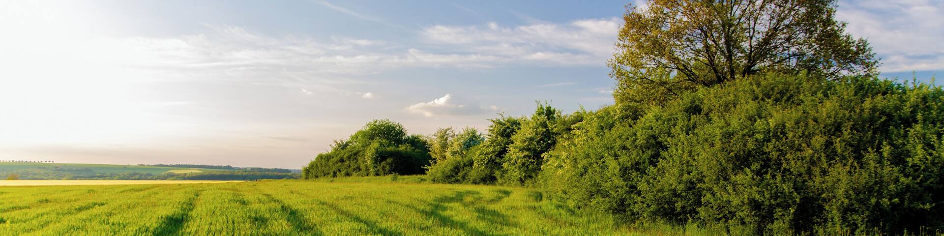 Landschaftsaufnahme auf der Breitfurter Höhe