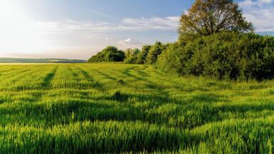 Landschaftsaufnahme auf der Breitfurter Höhe