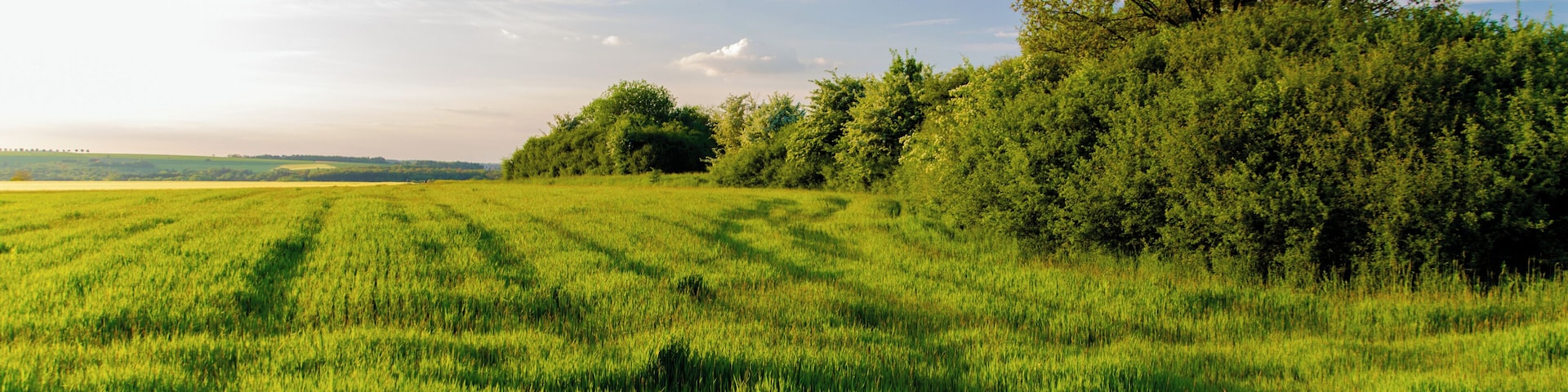 Landschaftsaufnahme auf der Breitfurter Höhe