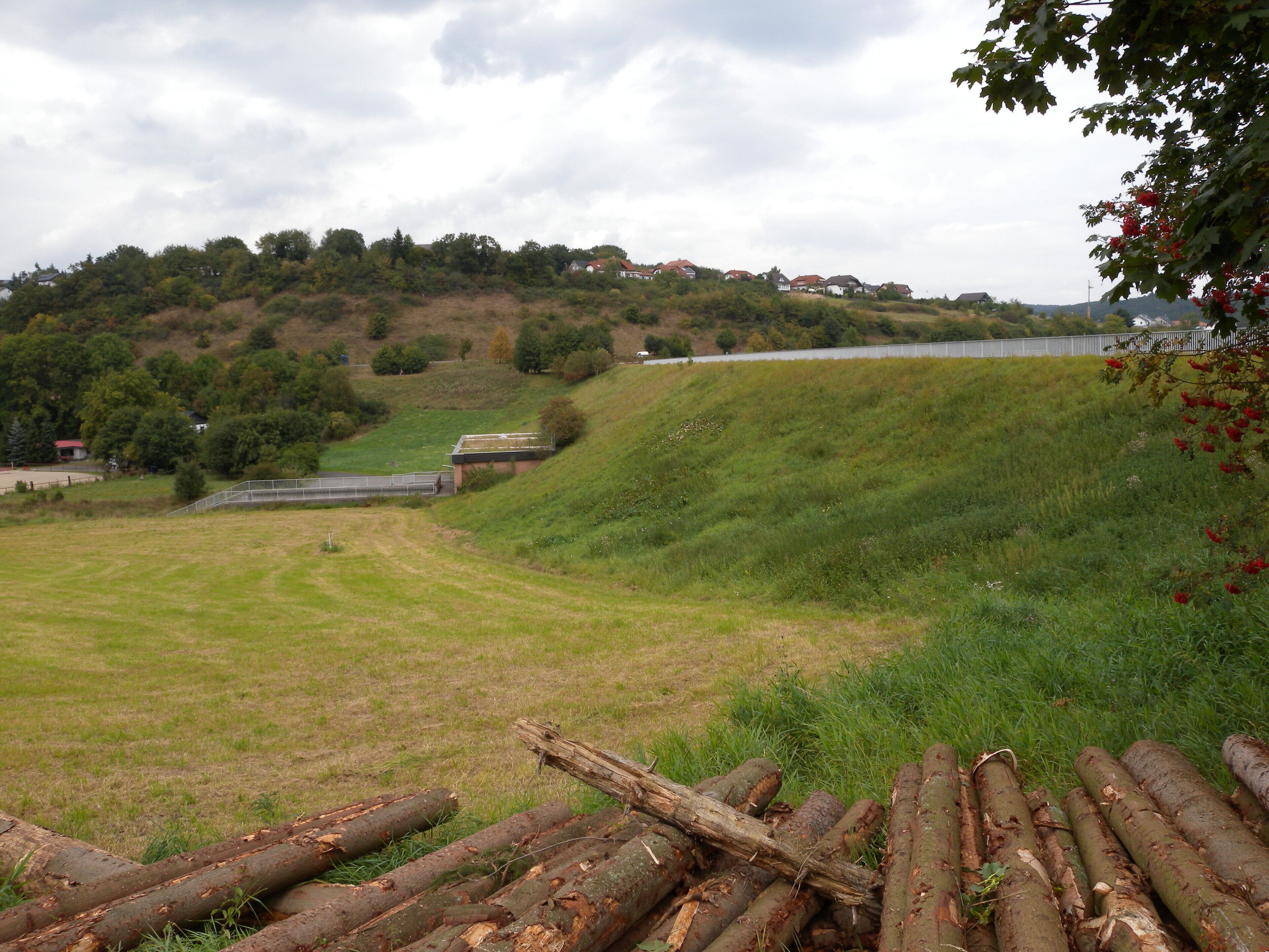 A grassy field with a wooden fence, a bridge, and houses on a hill.
