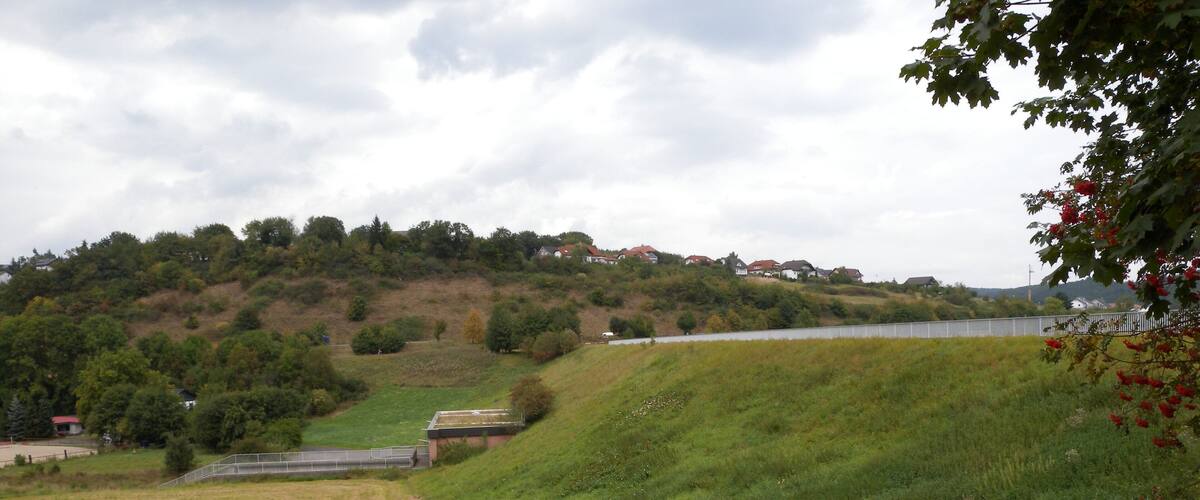 A grassy field with a wooden fence, a bridge, and houses on a hill.