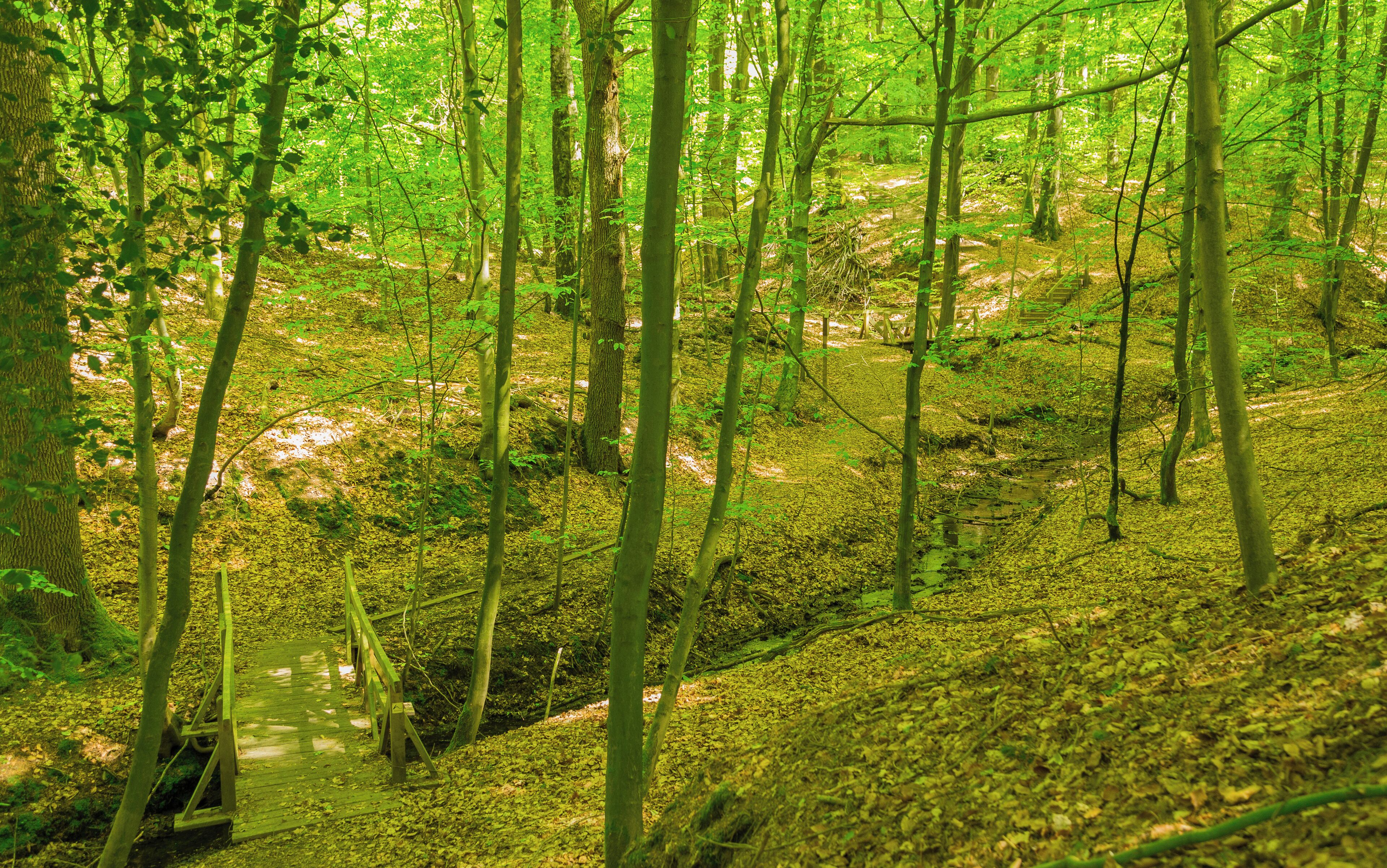 This is a picture of the protected area listed at WDPA under the ID