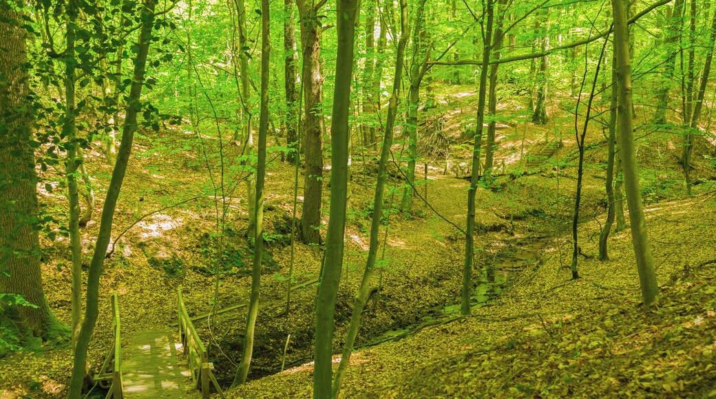 This is a picture of the protected area listed at WDPA under the ID