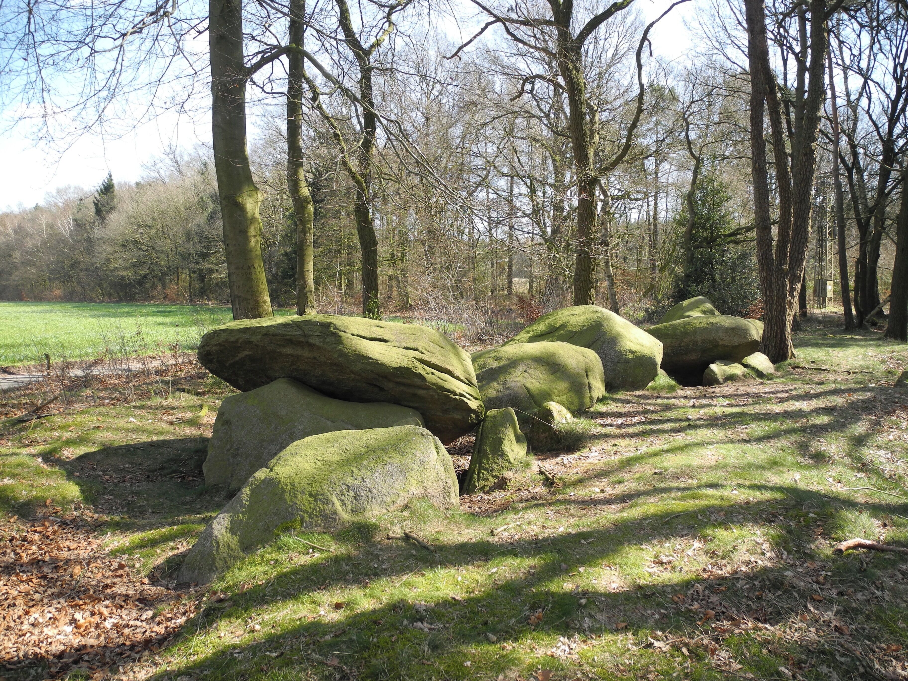 Megalithic tomb "Dalum" (district Osnabrück, Lower Saxony)
