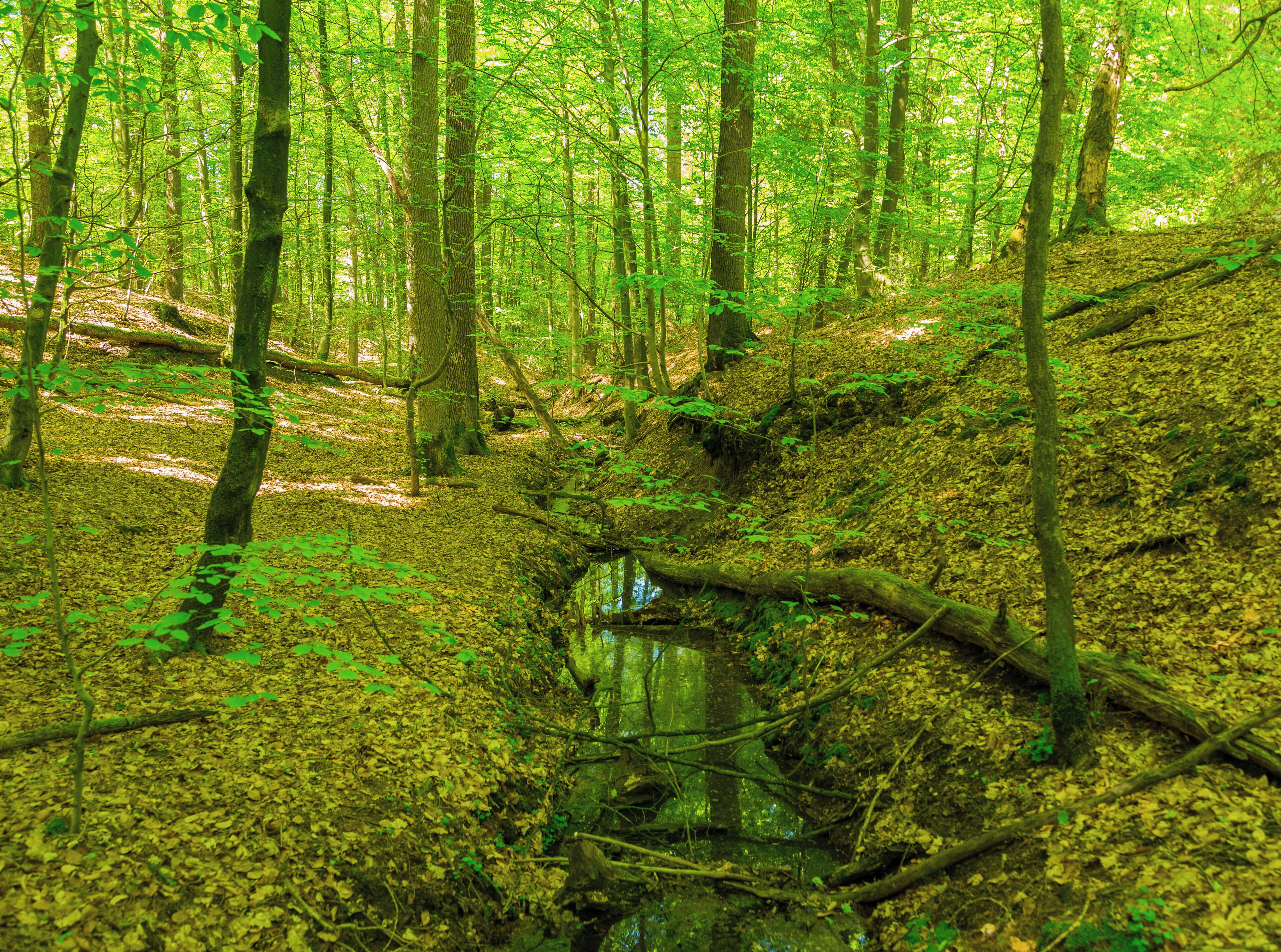 This is a picture of the protected area listed at WDPA under the ID