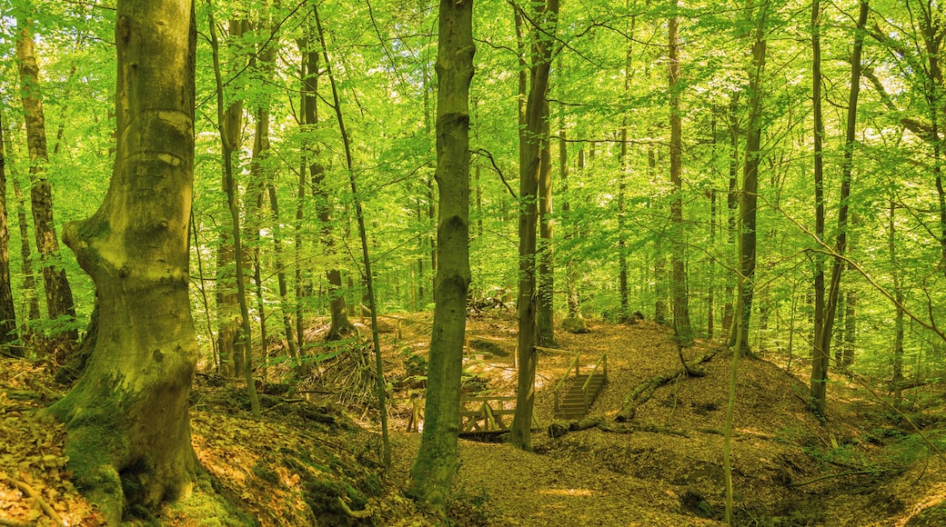 This is a picture of the protected area listed at WDPA under the ID