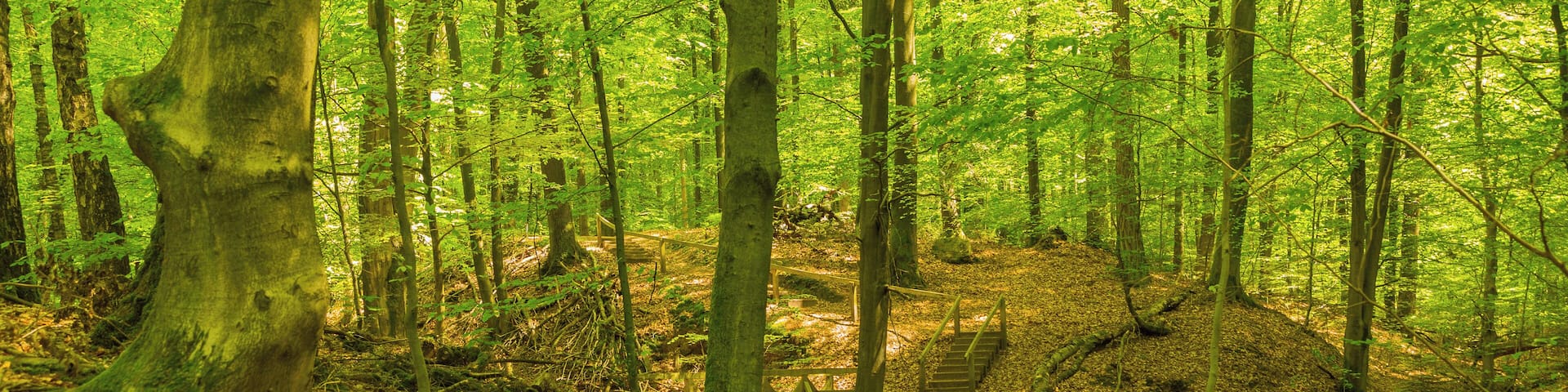 This is a picture of the protected area listed at WDPA under the ID