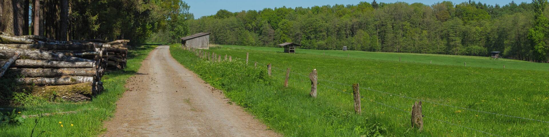 Dirt road called Wood Mountain (Holzberg) at Maiburg forest near Bippen, Samtgemeinde Fürstenau, Landkreis Osnabrück, Lower Saxony, Germany.