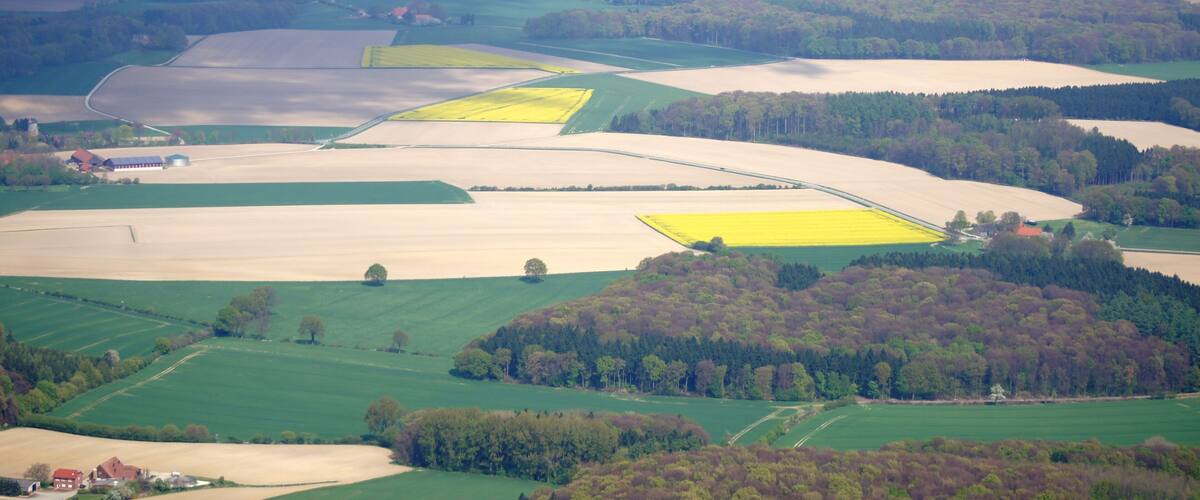 A rural landscape with fields, a small red building, and dense forest areas.