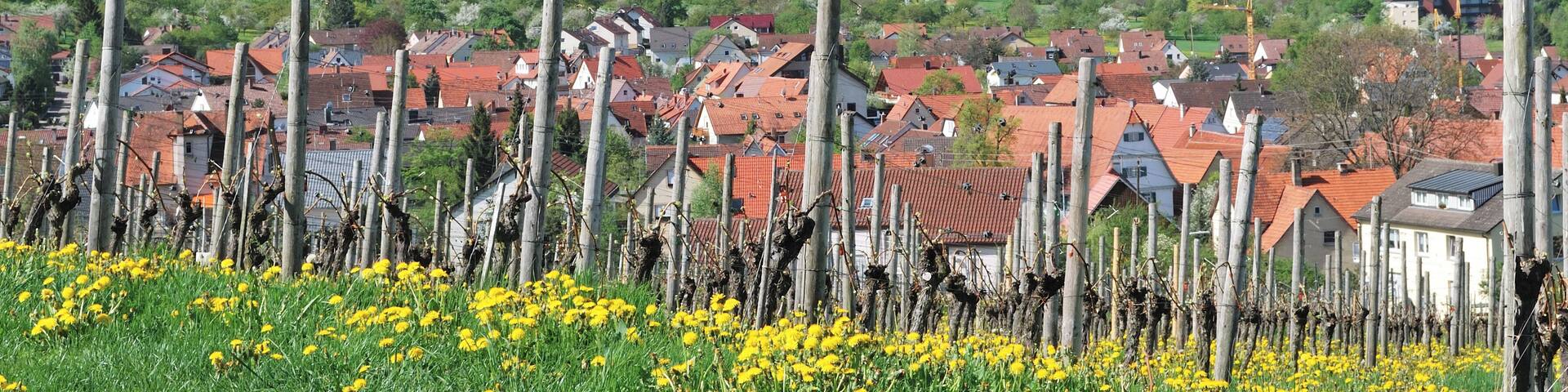 A village with red-roofed houses, a hill with a castle, and yellow flowers in the foreground.