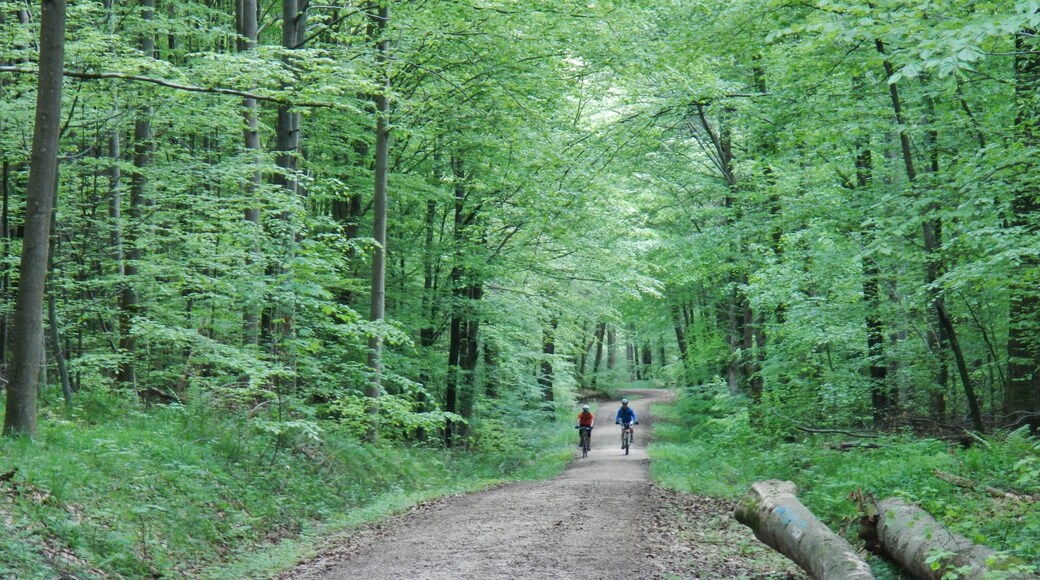 Wanderweg