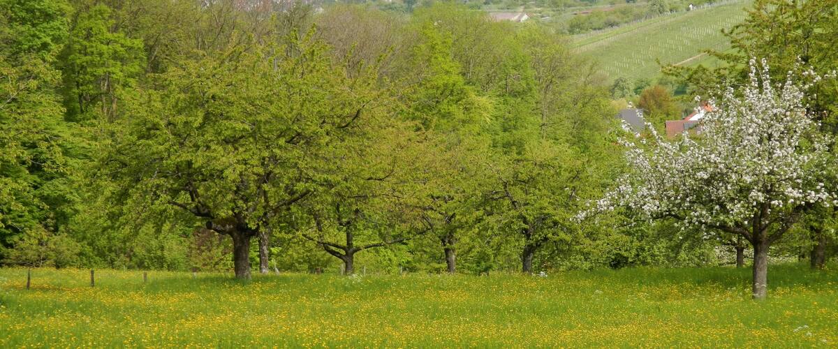 Ausblick Richtung Norden