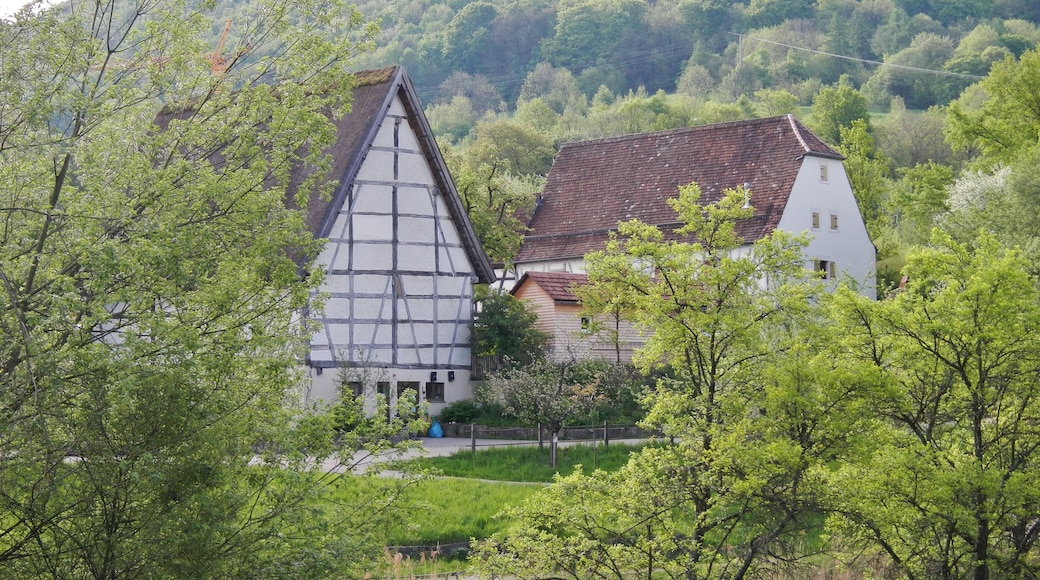Blick auf das Freilichtmuseum in Beuren