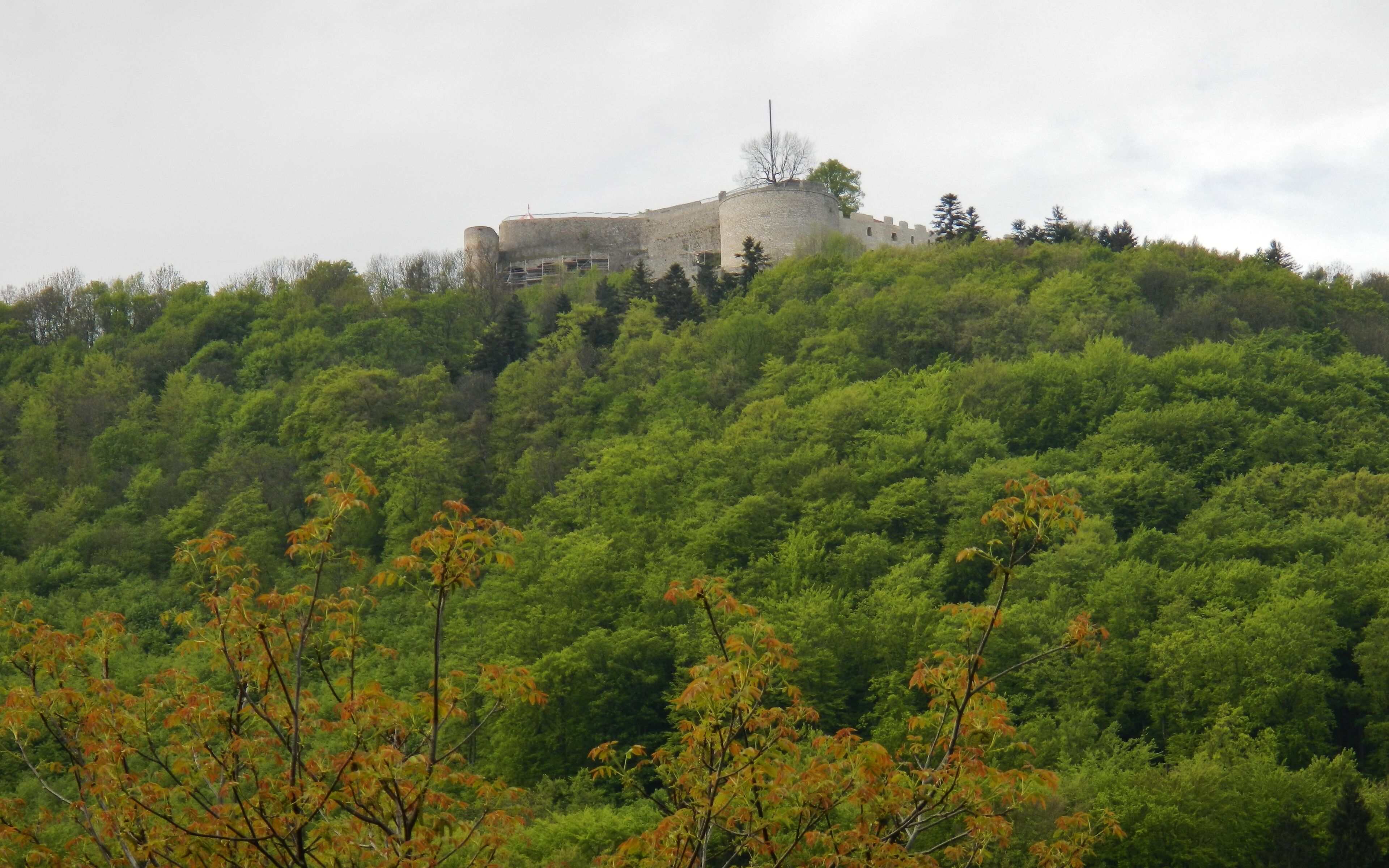 Burg Hohen Neuffen