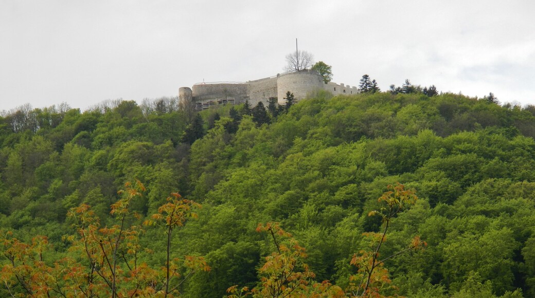 Burg Hohen Neuffen