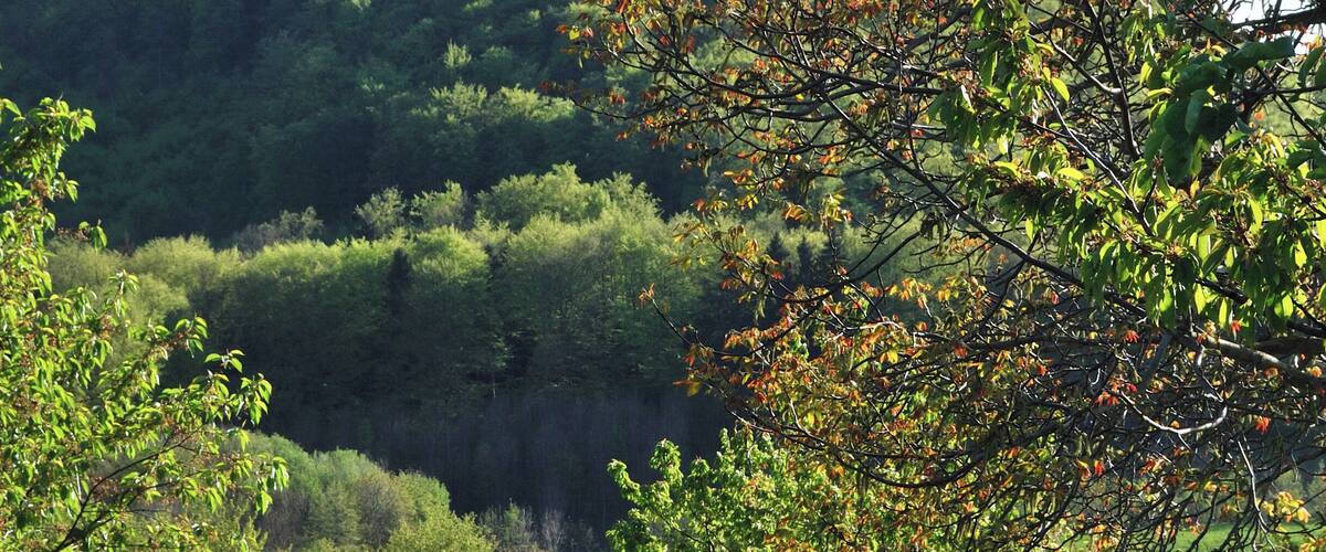 The Hohenneuffen Castle in Swabian Jura in the German Federal State Baden-Württemberg.