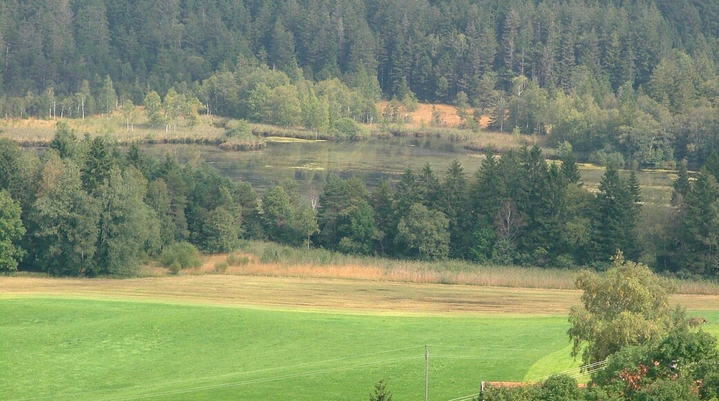 Hauptmannsgreut Notzenweiher