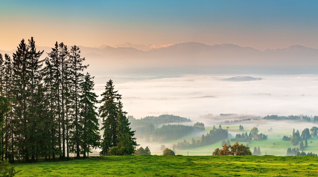 Panoramic View from Mt. Auerberg at Sunrise, Valley full of Fog, the Alps behind, Bavaria, Germany