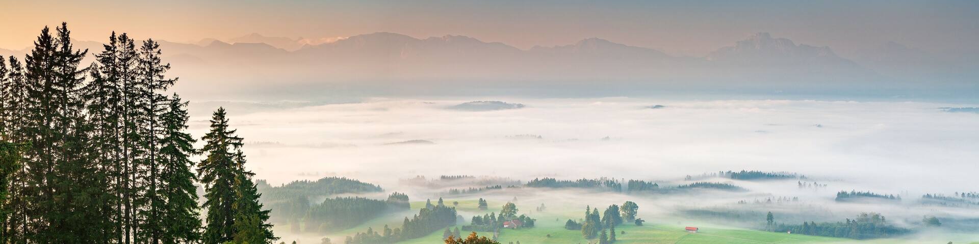 Panoramic View from Mt. Auerberg at Sunrise, Valley full of Fog, the Alps behind, Bavaria, Germany