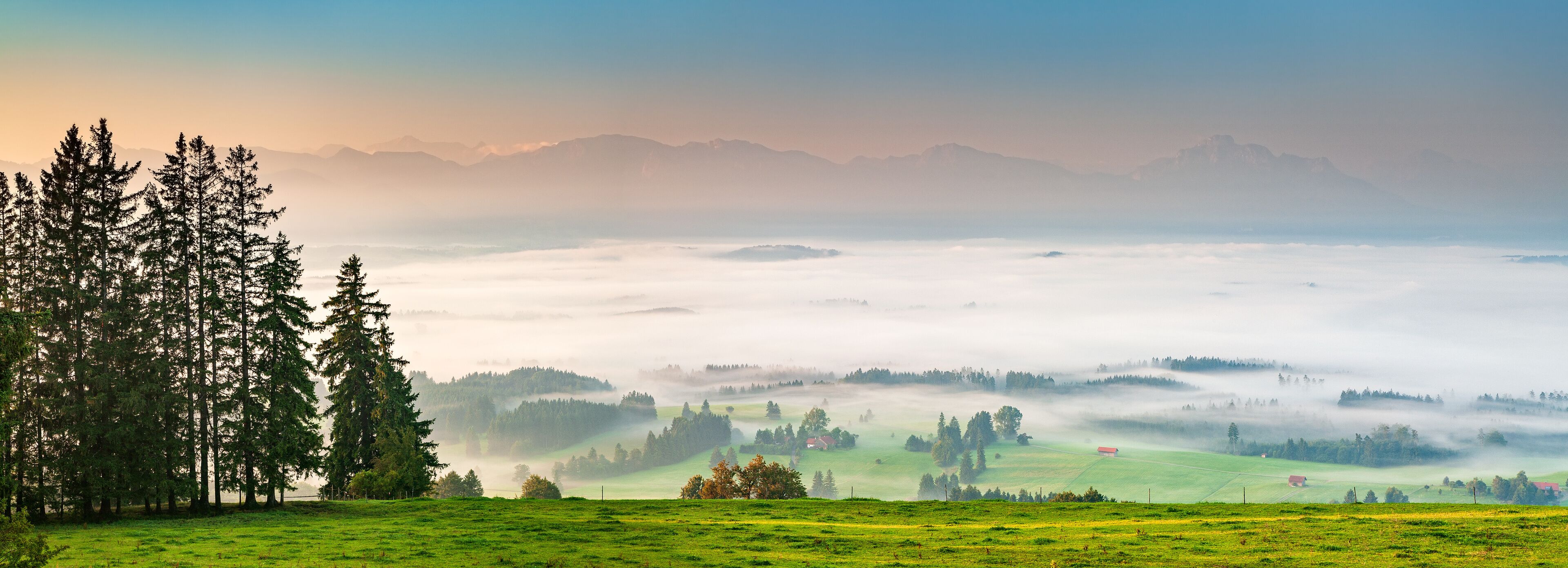A misty valley with green fields, a forest of tall trees, and distant mountains.